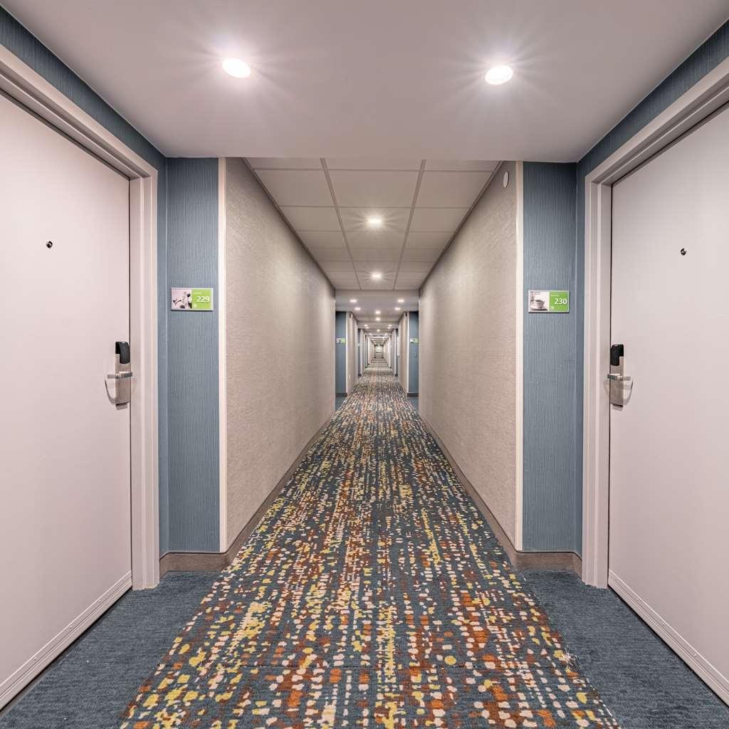 Hampton Inn Γκέινσβιλ Εσωτερικό φωτογραφία